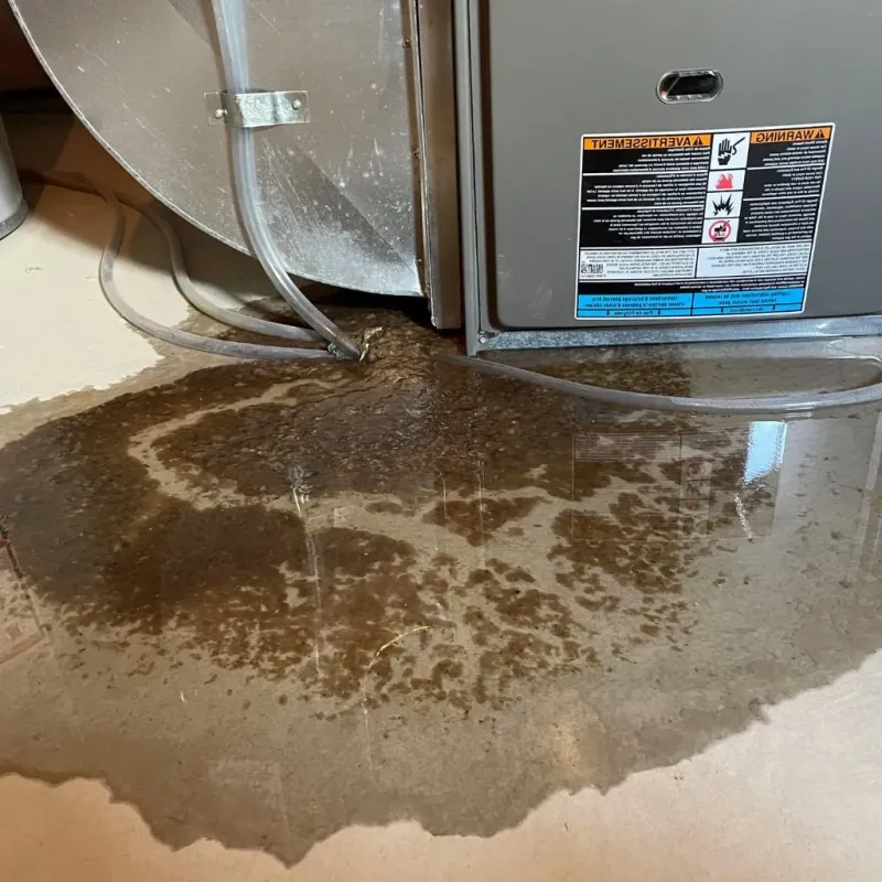 Pipe Burst and Leak Restoration in Curry County, NM