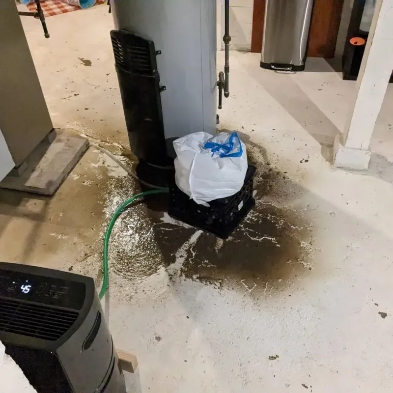 Sewage Backup Cleanup Service in Curry County, NM